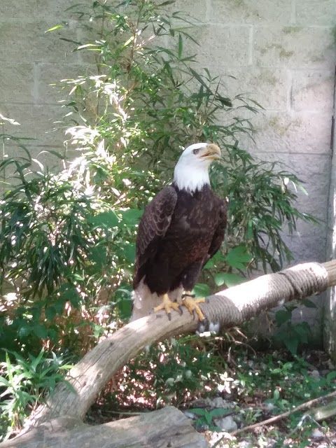 Salato Wildlife Center